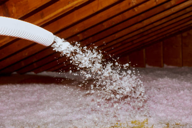 Best Insulation Maintenance and Repair in Rice, TX